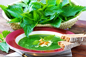 <br />
<b>Notice</b>: Undefined variable: alt in <b>/www/htdocs/w01930e9/kgs-gesund.de/templates/yoo_nano3/warp/systems/joomla/layouts/article.php</b> on line <b>47</b><br />
